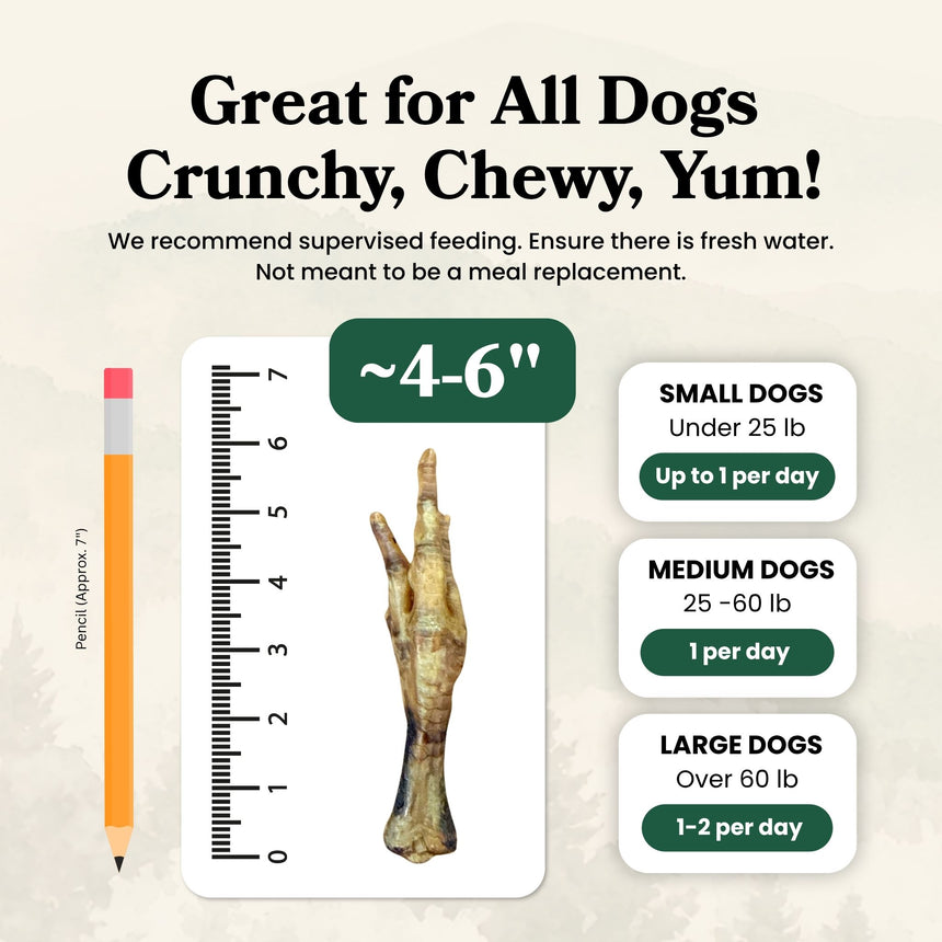 Chicken Feet - Dog Treats