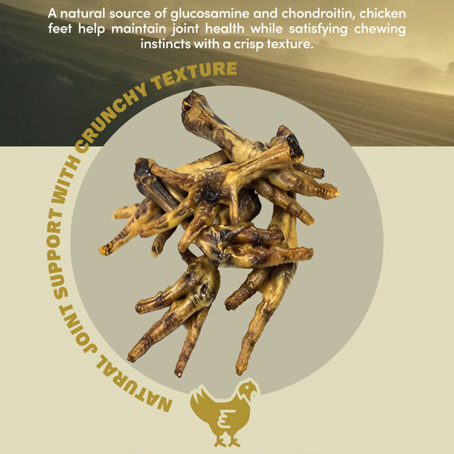 Chicken Feet Dog Treats by Oldfield Naturals – Natural Source of Glucosamine and Chondroitin for Joint Support