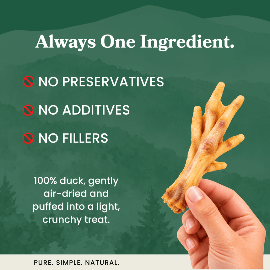 Puffed Duck Feet - Dog Treats