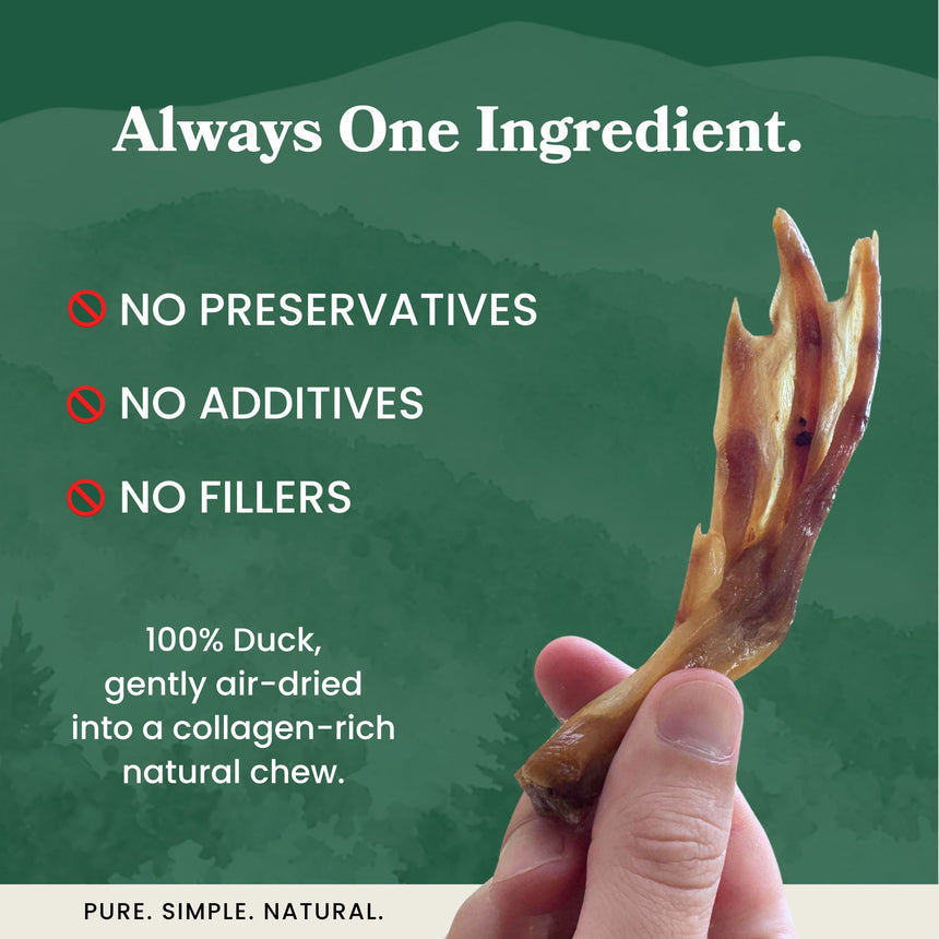 Duck Feet - Dog Treats
