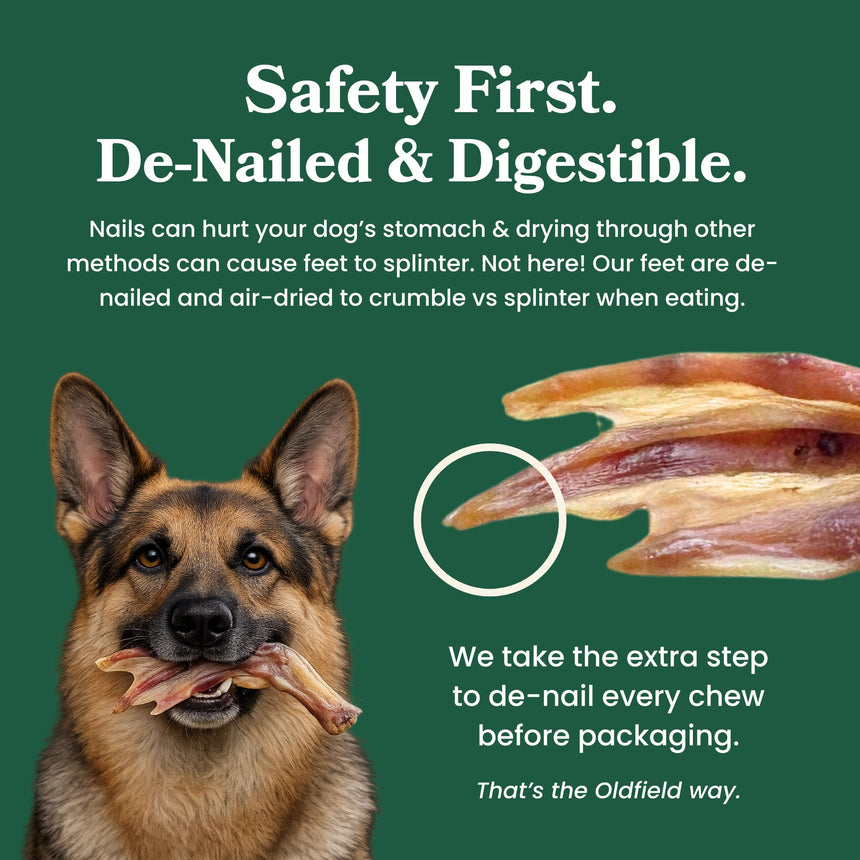 Duck Feet - Dog Treats