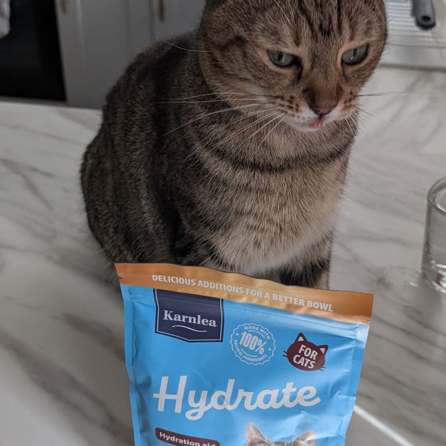 Hydrate - Hydration Aid for Cats