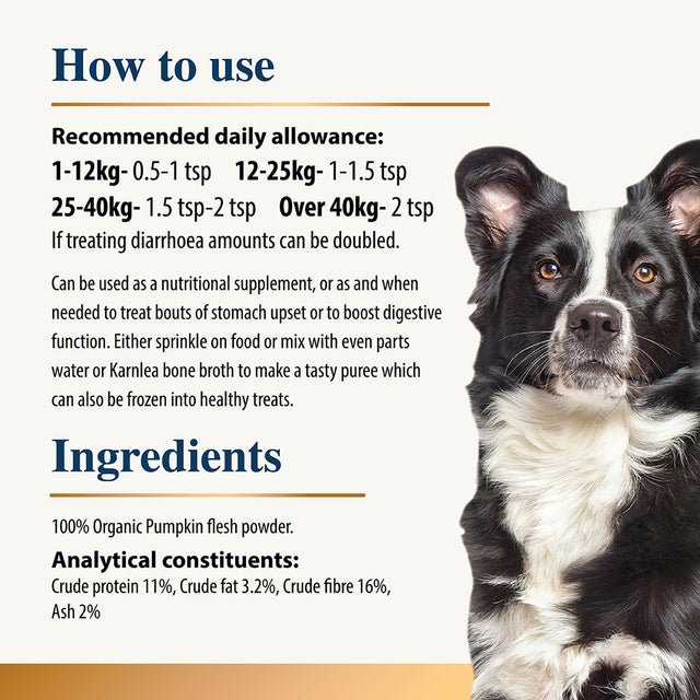 Infographic explaining usage instructions and ingredients of pumpkin powder dog supplement