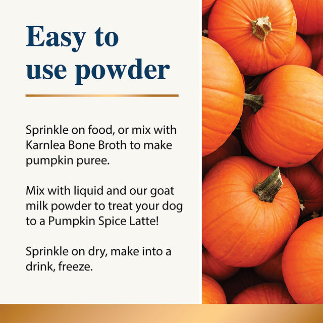 Graphic explaining how to use pumpkin powder dog supplement with pumpkin images on the right