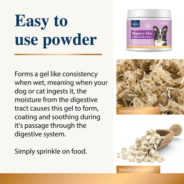 Infographic explaining powdered slippery elm and marshmallow root supplement for dogs and cats