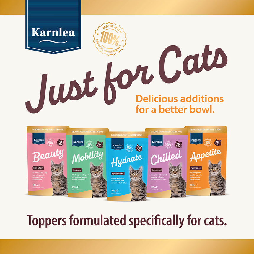Appetite - Fussy Eaters for Cats
