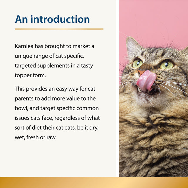 Hydrate - Hydration Aid for Cats