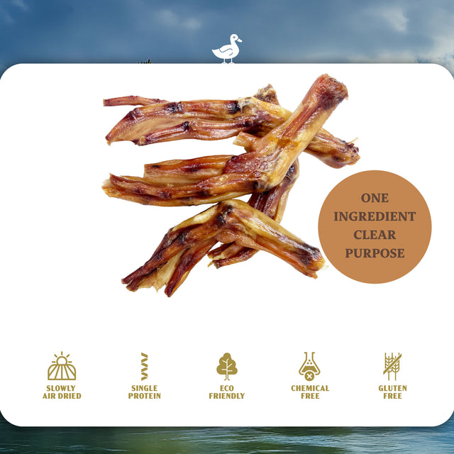Duck Feet Dog Treats (10 PCS)