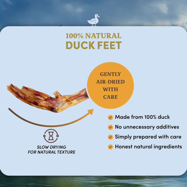 Duck Feet Dog Treats (10 PCS)