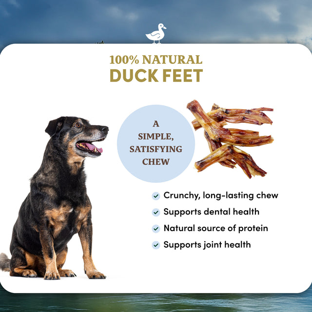 Duck Feet Dog Treats (10 PCS)