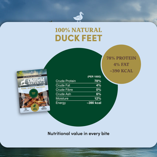 Duck Feet Dog Treats (10 PCS)