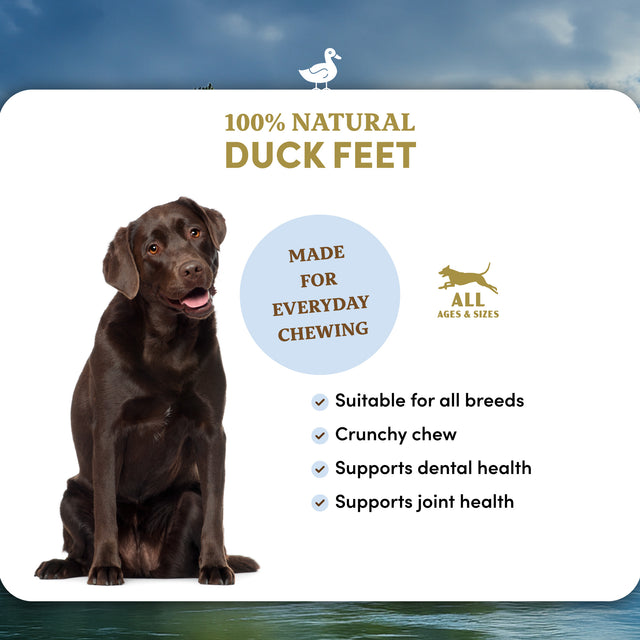 Duck Feet Dog Treats (10 PCS)