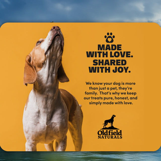 Duck Feet Dog Treats (10 PCS)