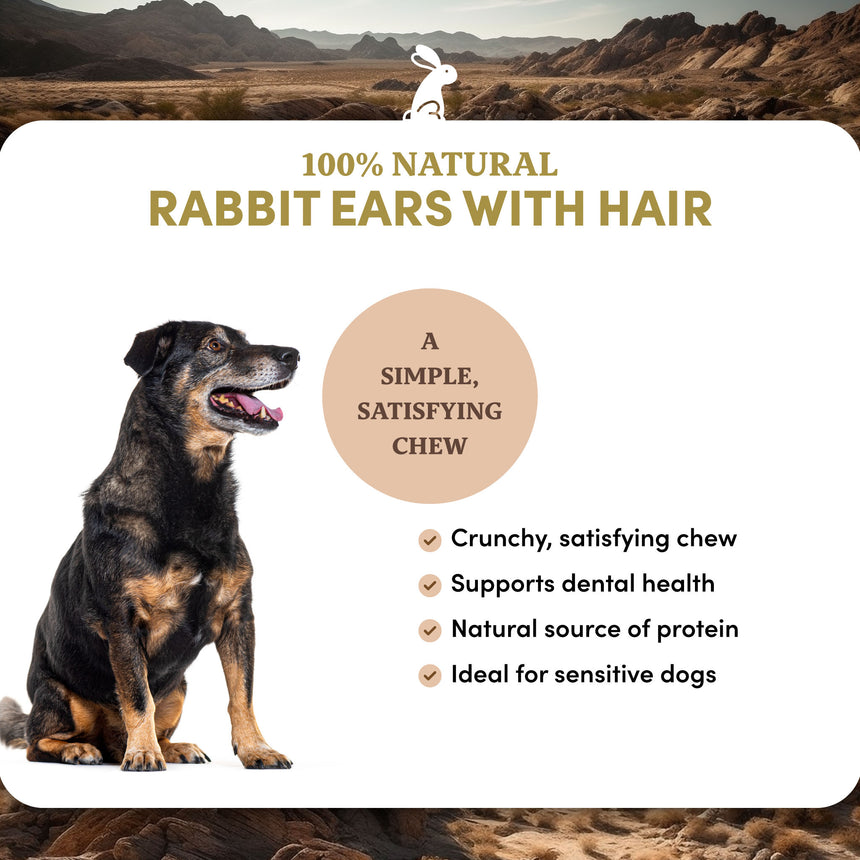 Rabbit Ears with Hair - Dog Treats
