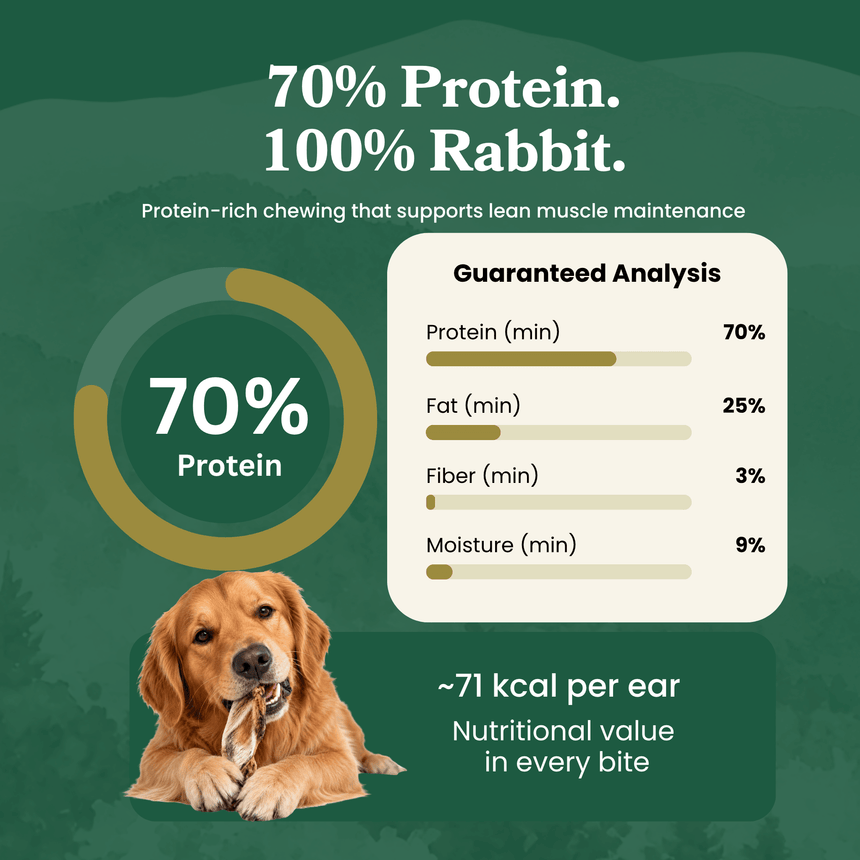 Rabbit Ears with Hair - Dog Treats
