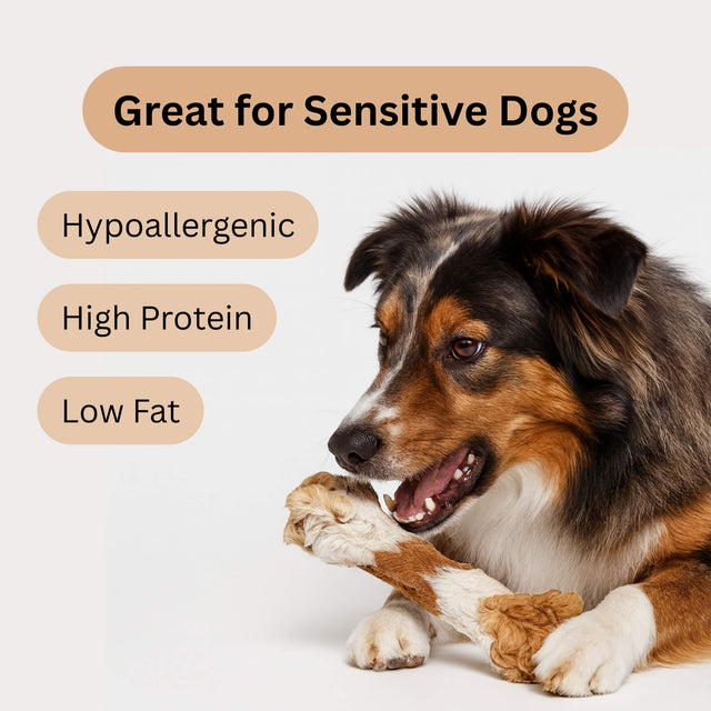 Dog Enjoying Oldfield Naturals Rabbit Skin with Hair Chew – Hypoallergenic, High-Protein, Low-Fat Treat for Sensitive Dogs