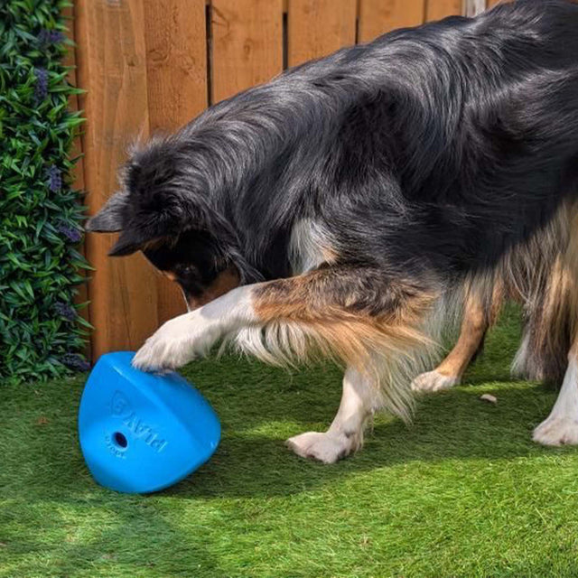 Roolo Enrichment Bopping Ball