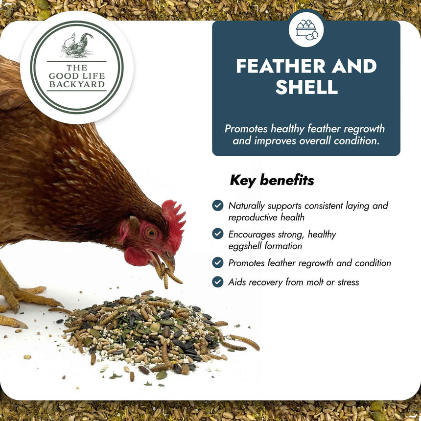 Feather and Shell - Natural Supplement for Eggshells & Molt Recovery