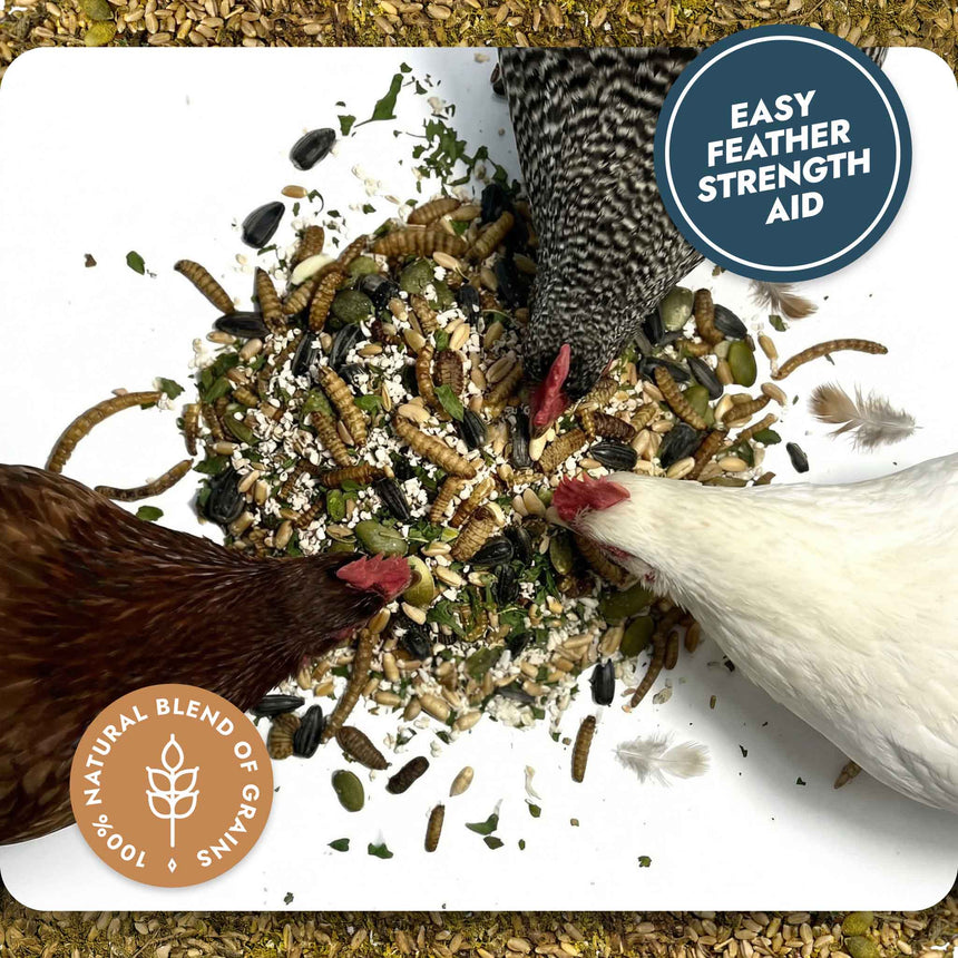 Feather and Shell - Natural Supplement for Eggshells & Molt Recovery