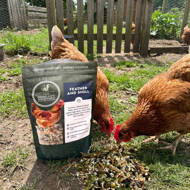 Feather and Shell - Natural Supplement for Eggshells & Molt Recovery