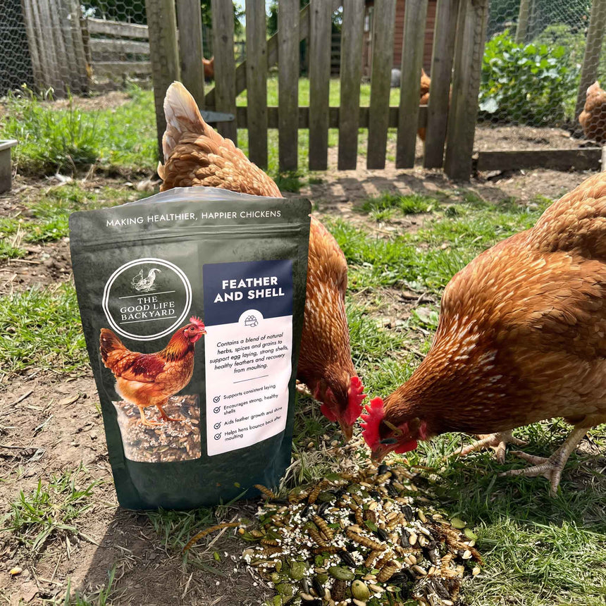 Feather and Shell - Natural Supplement for Eggshells & Molt Recovery