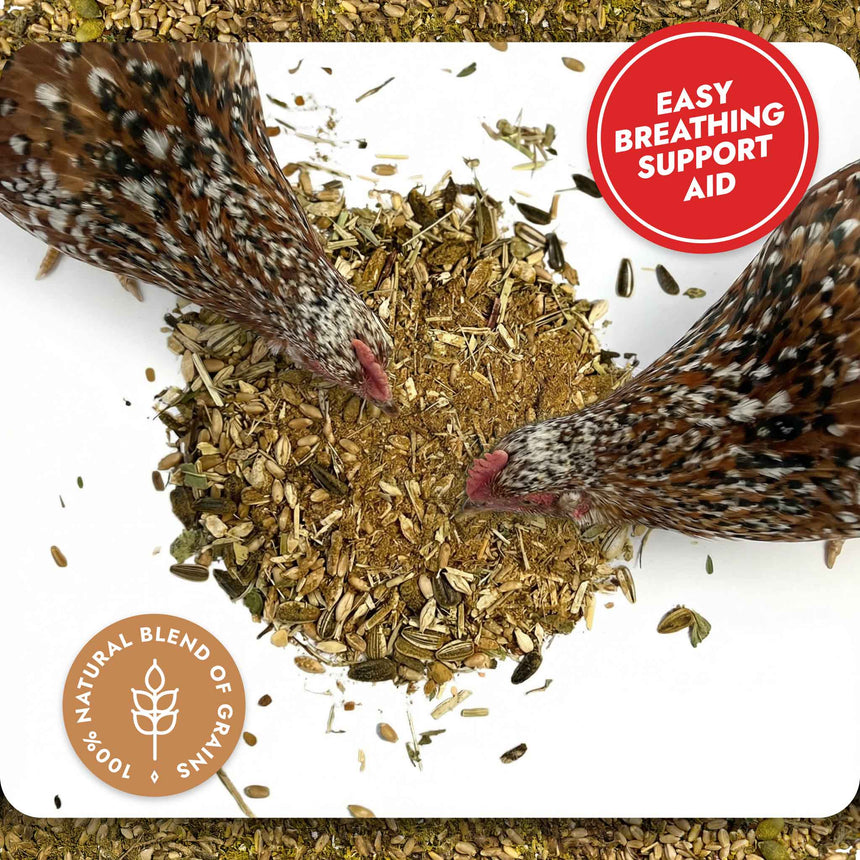 Respiratory Relief - Spice Blend Natural Chicken Supplement for Airway Support