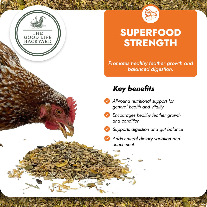 Superfood Strength - Natural Chicken Supplement for Daily Flock Wellness