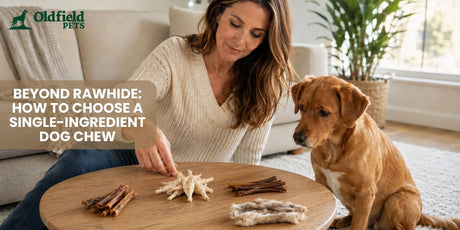 Dog owner comparing several single-ingredient dog chews while her dog watches