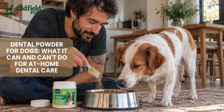 Man adding dog dental powder to his dog's food as part of a daily at-home dental care routine