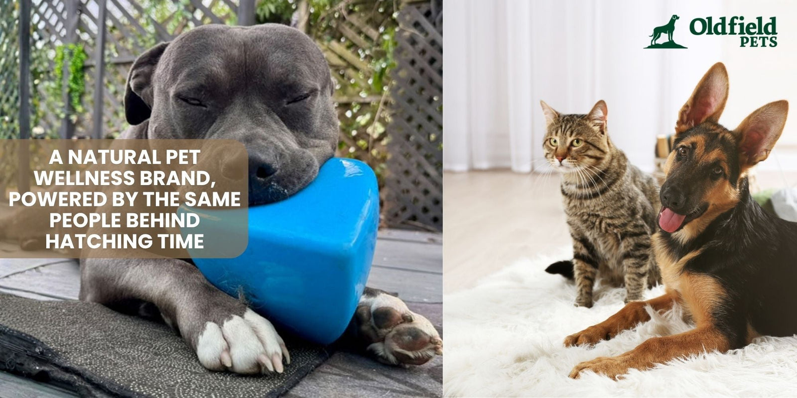 A Natural Pet Wellness Brand, Powered by the Same People Behind Hatching Time