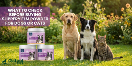 Dogs and cat beside Karnlea Slippery Elm & Marshmallow Root Powder for dogs and cats