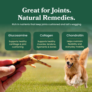 Chicken Feet - Dog Treats