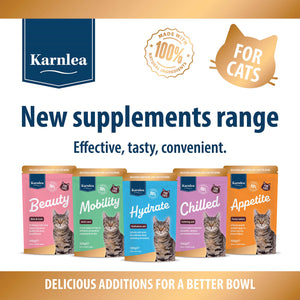 Appetite - Fussy Eaters for Cats