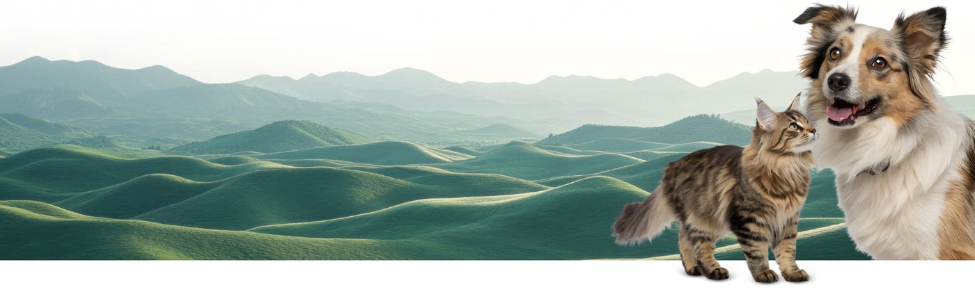 Dog and cat standing together with a scenic background of green hills and mountains.