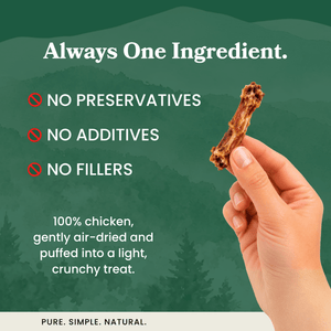 Chicken Necks - Dog Treats