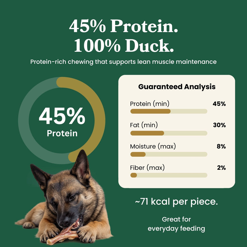 Duck Feet - Dog Treats