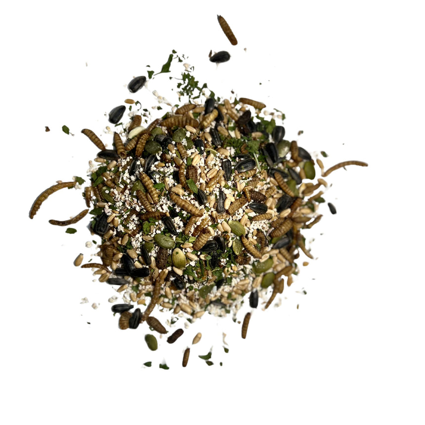 Feather and Shell - Natural Supplement for Eggshells & Molt Recovery