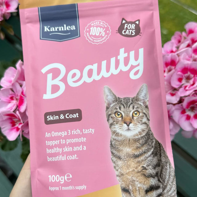 Hand holding Karnlea Beauty skin and coat topper for cats in pink pouch packaging