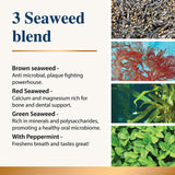 Graphic showing three seaweed blend ingredients and peppermint used in a pet dental supplement