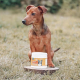 Dog outdoors with Karnlea Pumpkin Powder dog supplement placed on a wooden stand