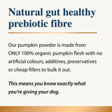 Infographic explaining pumpkin powder probiotic fibre and ingredient purity for dogs