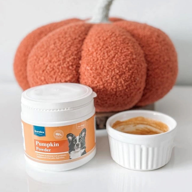 Pumpkin Powder dog supplement jar with pumpkin puree and whole pumpkin displayed behind