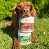 Dog outdoors with Karnlea Pumpkin and Spice and Dental pet supplements stacked in front