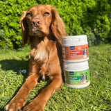 Dog outdoors with Karnlea Pumpkin and Spice and Dental dog supplements stacked on grass