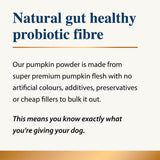 Graphic describing natural gut health probiotic fibre used in a pumpkin-based dog supplement