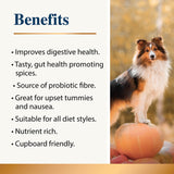 Infographic showing pumpkin supplement benefits for dogs with autumn dog photo
