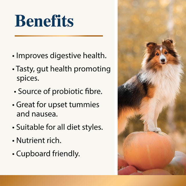 Infographic showing pumpkin supplement benefits for dogs with autumn dog photo