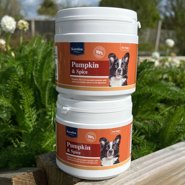 Karnlea Pumpkin and Spice dog supplement shown as two stacked jars in an outdoor setting