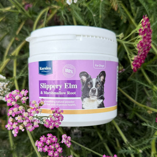 Karnlea Slippery Elm and Marshmallow Root dog supplement jar displayed outdoors with flowers