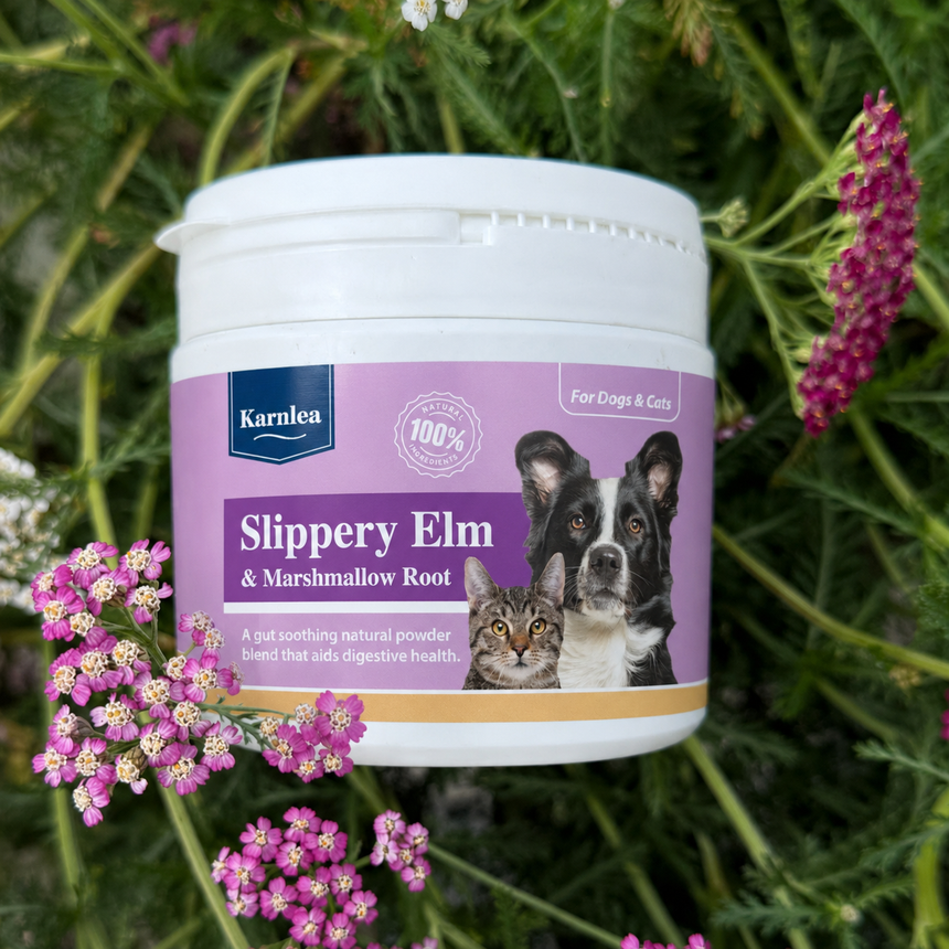 Karnlea Slippery Elm and Marshmallow Root dog supplement jar displayed outdoors with flowers